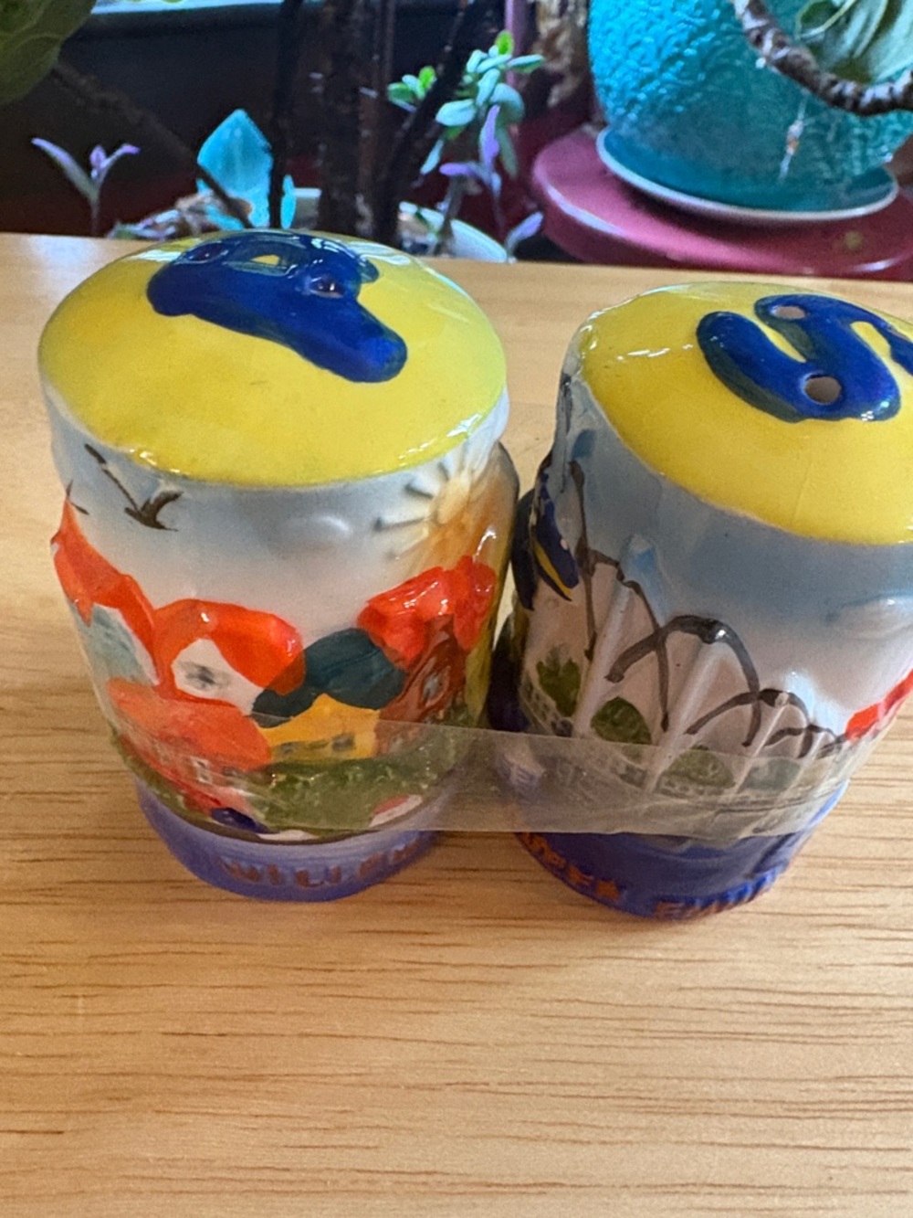 Hand-Painted Ceramic Salt and Pepper Shakers — Curracao souvenir